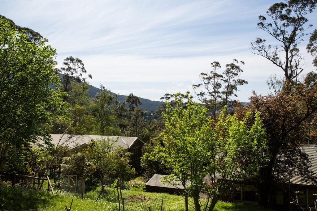 Buttercup Hill Bed & Breakfast Warburton Rom bilde