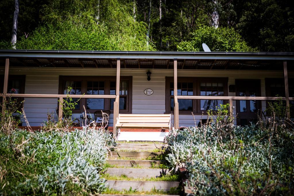 Buttercup Hill Bed & Breakfast Warburton Eksteriør bilde