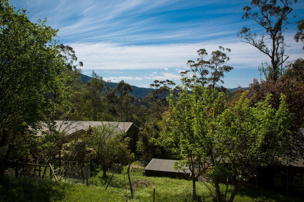 Buttercup Hill Bed & Breakfast Warburton Eksteriør bilde